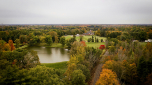 Aerial view of colorful autumn trees surrounding a peaceful park and pond